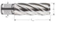 HSS kernboor SILVER-LINE 55mm (Weldon)